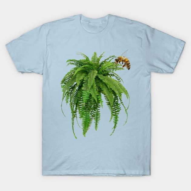 Fern T-Shirt by Coolsville